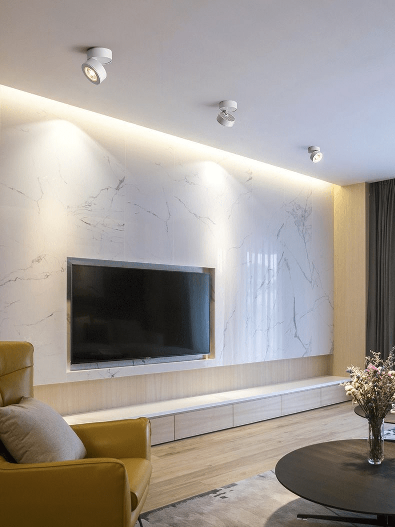 Round Rotating LED Downlight