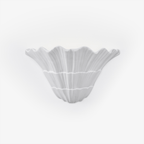 Marina Shell Wall Light