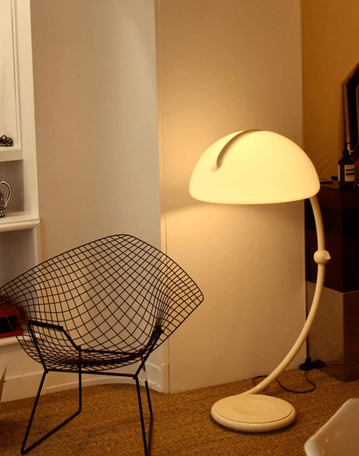 Arc Dome Floor Lamp