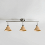 Axiom Directional Ceiling Lamp