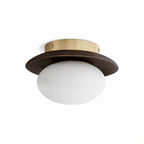 Brio Dome Ceiling Light