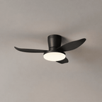 Aldren Ceiling Fan Light