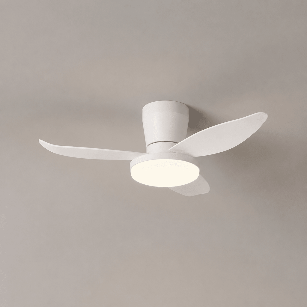 Aldren Ceiling Fan Light