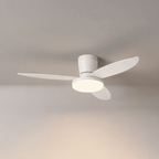 Aldren Ceiling Fan Light