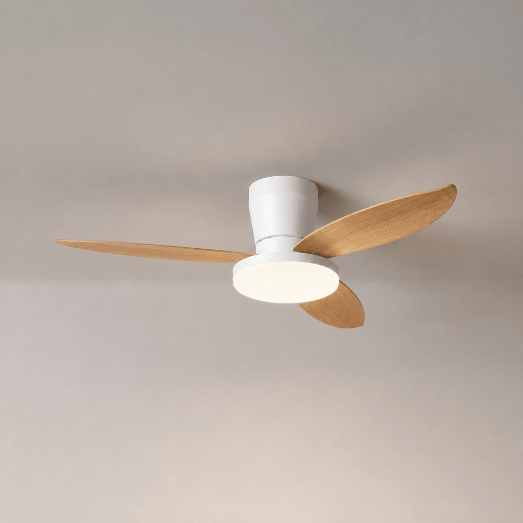 Aldren Ceiling Fan Light