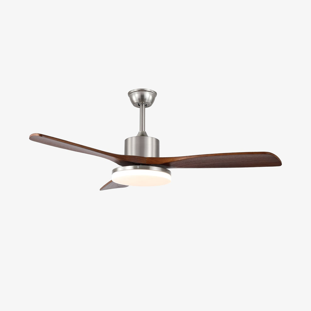 Lunet Ceiling Fan Light