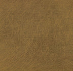 Lighting Metal Swatch