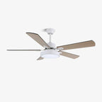 Zephyris Ceiling Fan Light