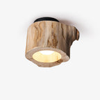 Tarn Hollow Ceiling Lamp