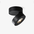 Lyric Adjustable Surface Downlight