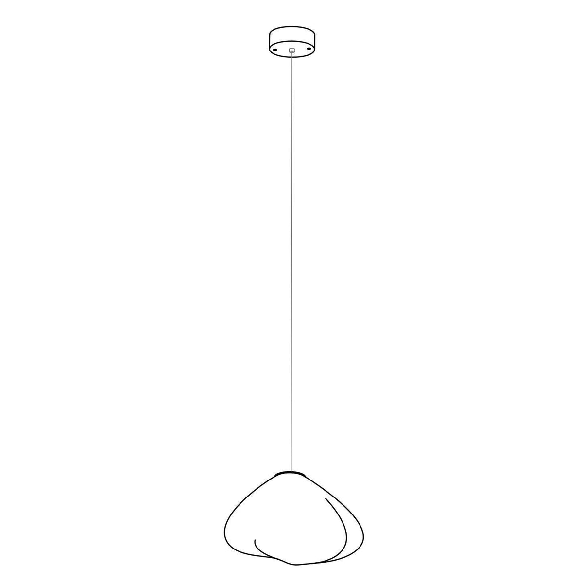 Blown Glass Mesh Pendant Light Dia 20cm x H 15cm / Transparent glass 1001 Pendant light