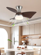 Breeze Lux Ceiling Fan Light