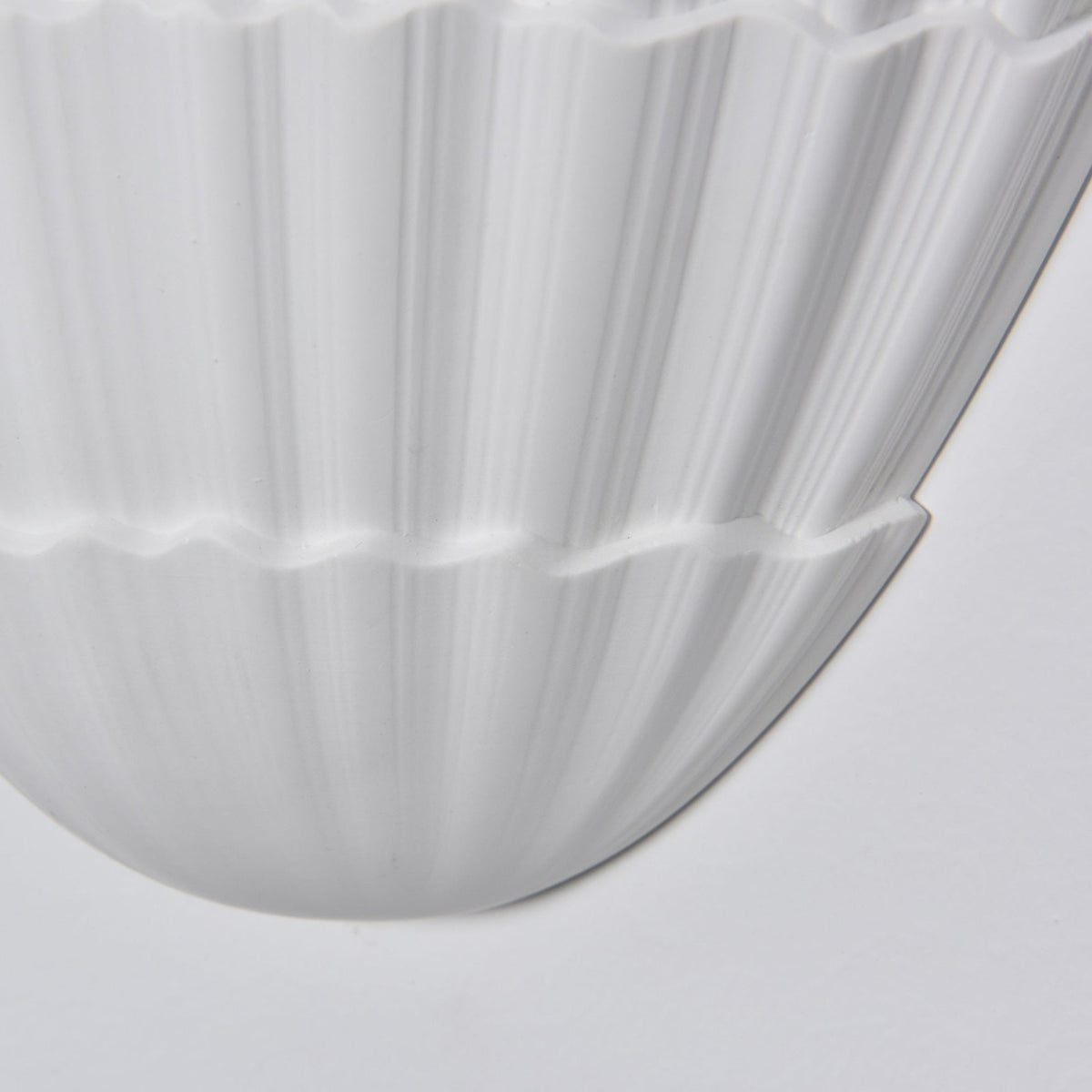 Pleated Shell Wall Light