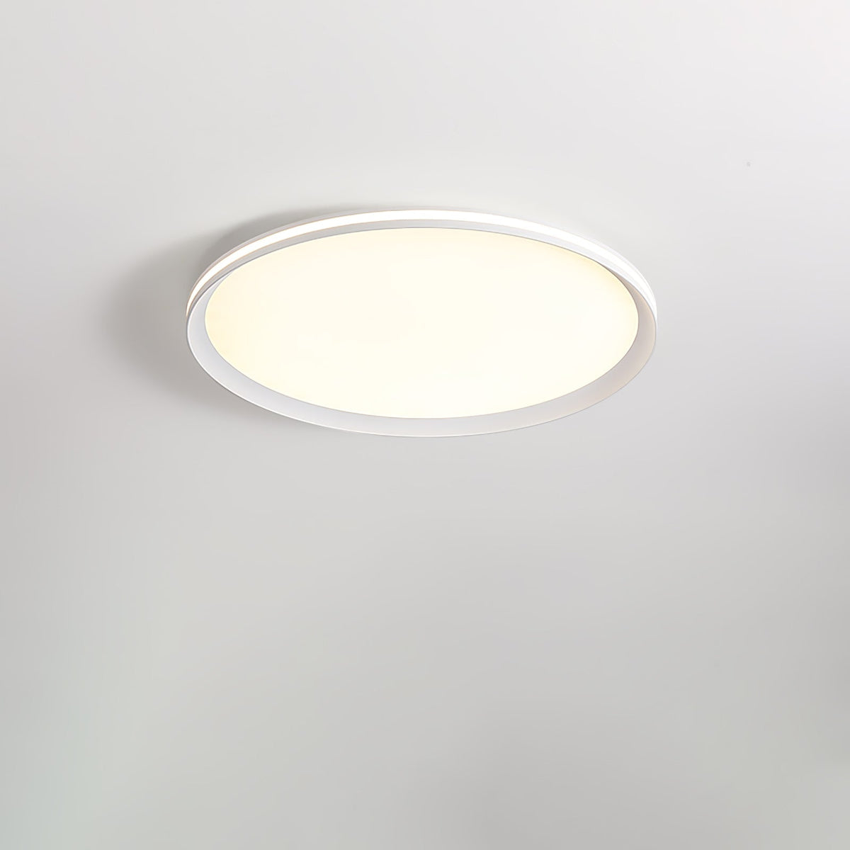 Acrylic Circular LED Ceiling Light Ceiling lamp