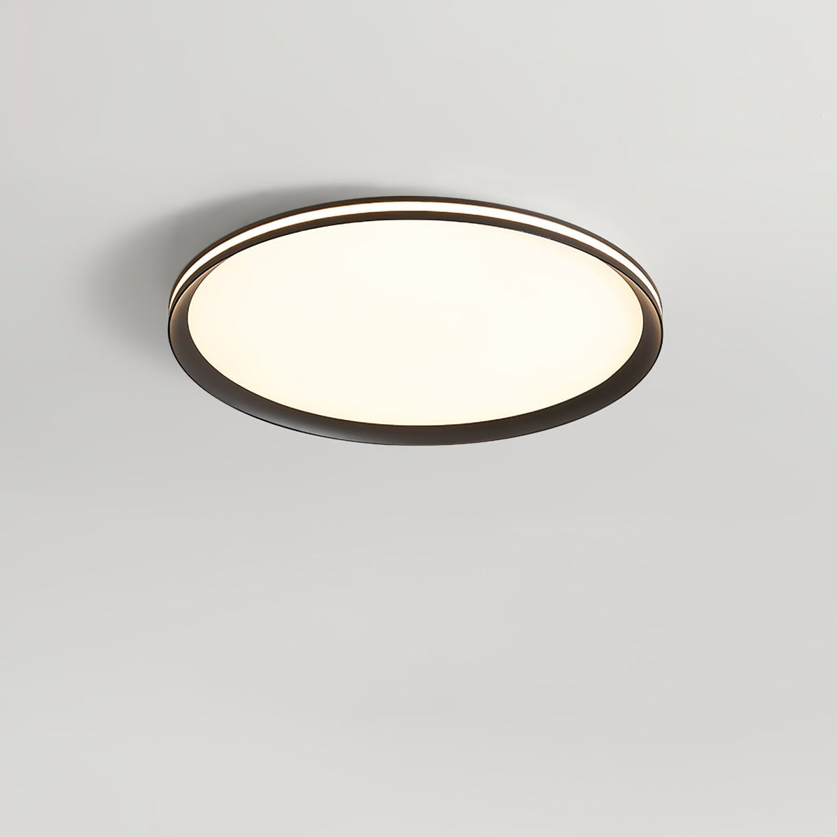 Acrylic Circular LED Ceiling Light Ceiling lamp