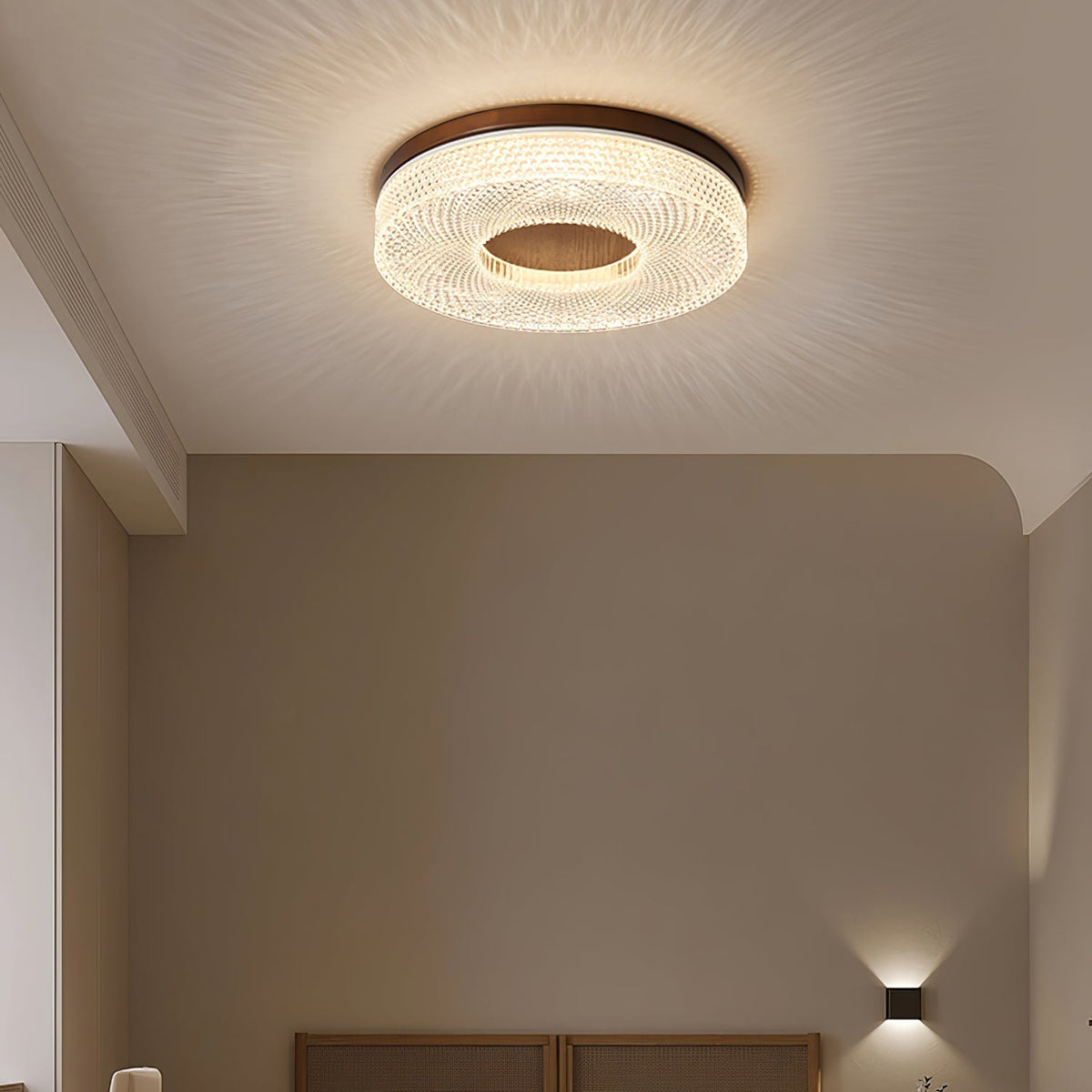 Acrylic Halo Round Ceiling Light Ceiling lamp