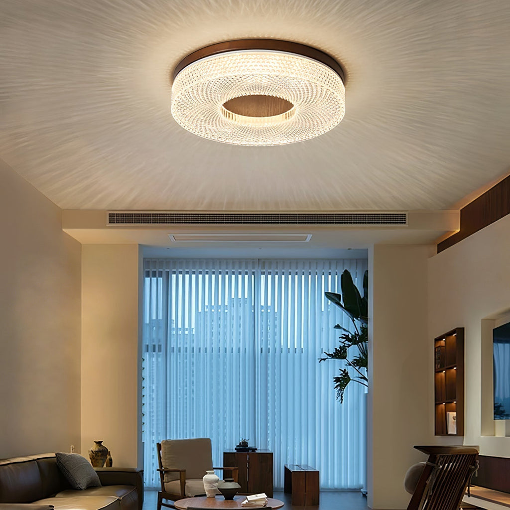 Acrylic Halo Round Ceiling Light Ceiling lamp