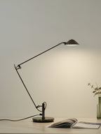 Adjustable Black Office Task Lamp 1001 Table lamp