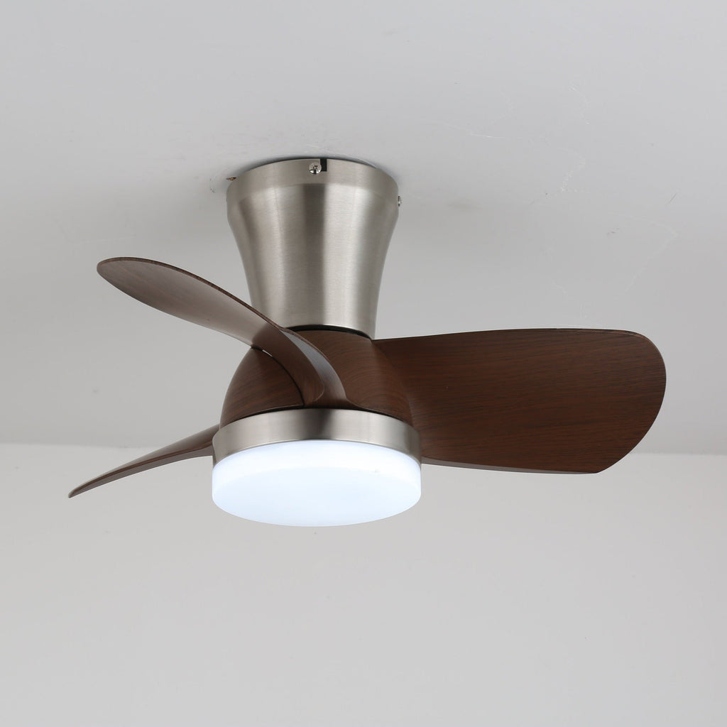 Aero Echo Ceiling Fan Light