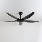 Aeron Noir Ceiling Fan