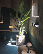 Alabaster Comet table lamp