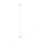 Ambient Floor Lamp Floor lamp