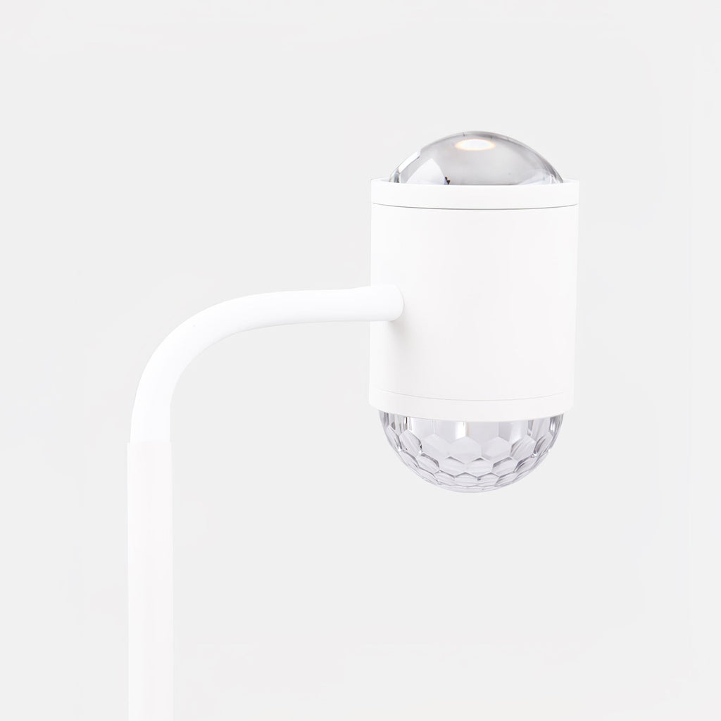Ambient Floor Lamp Floor lamp