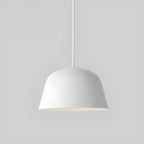 Ambit Pendant Light
