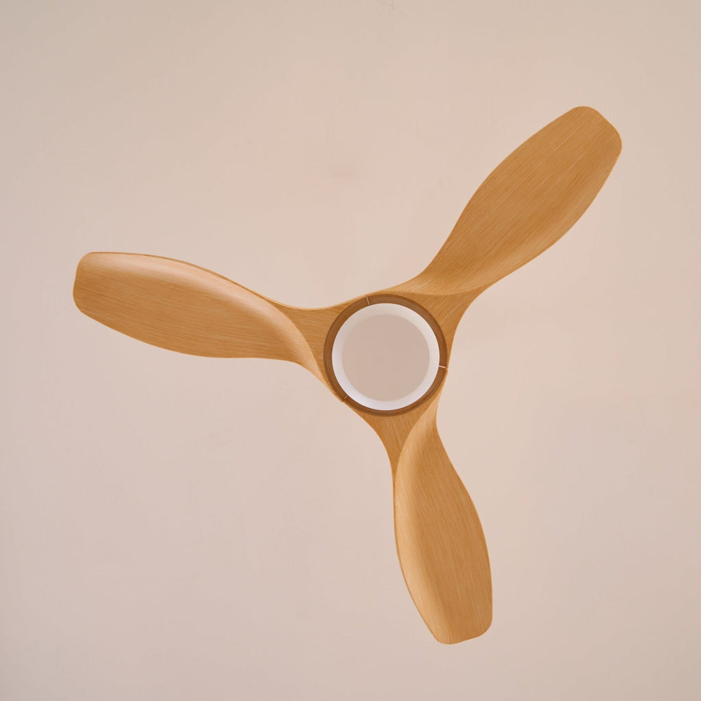 Amelia Ceiling Fan 1001 Ceiling fan