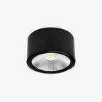 Anzio Spotlights Ceiling lamp
