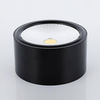 Anzio Spotlights Ceiling lamp