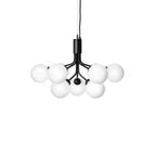 Apiales Chandelier 9heads ∅ 23.6″ x H 15.8″ / Dia 60cm x H 40cm / Black / White Chandelier