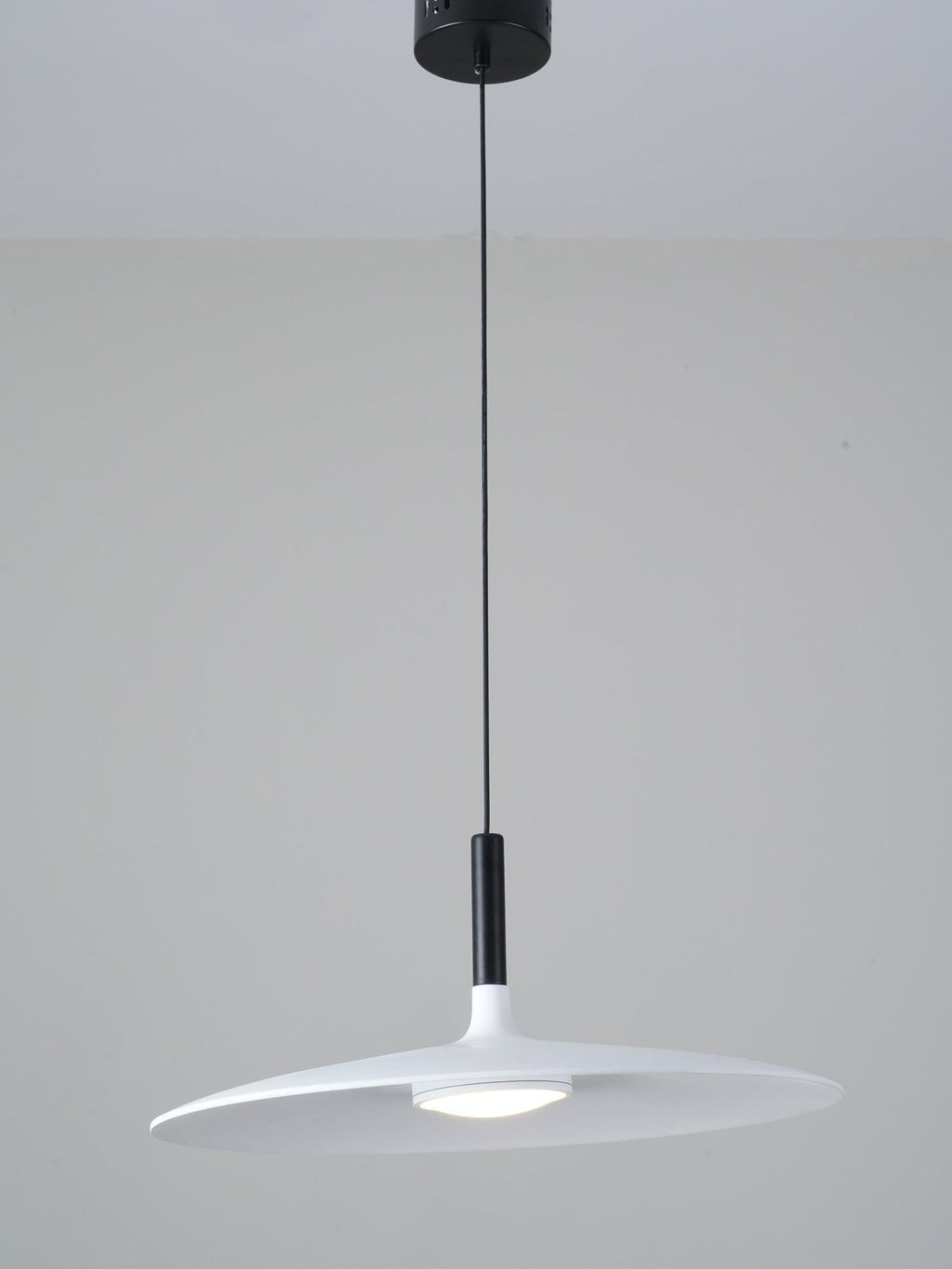 Aplomb Metal Pendant Lamp Pendant light