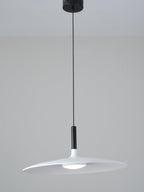 Aplomb Metal Pendant Lamp Pendant light