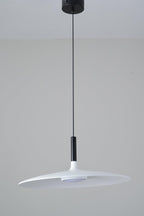 Aplomb Metal Pendant Lamp Pendant light