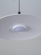 Aplomb Metal Pendant Lamp Pendant light