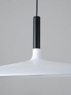 Aplomb Metal Pendant Lamp Pendant light