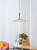 Aplomb Metal Pendant Lamp Pendant light