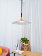 Aplomb Metal Pendant Lamp Pendant light