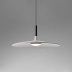 Aplomb Metal Pendant Lamp Pendant light