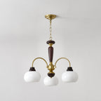Arched Globe Chandelier Chandelier