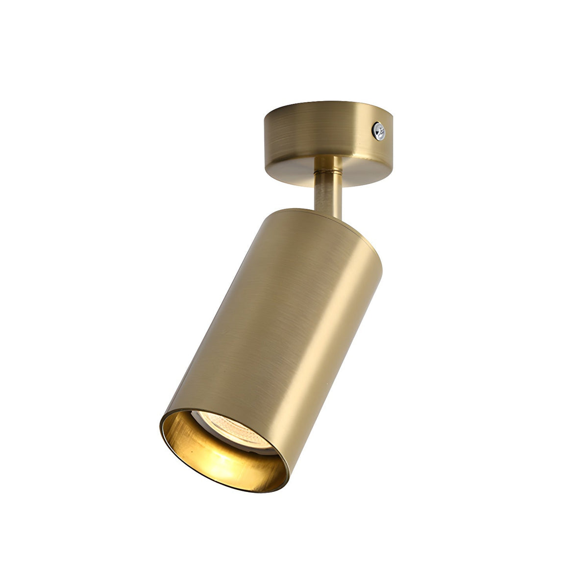 Arlo Accent Spotlight