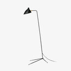 Arm Spider Floor Lamp