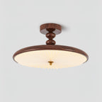 Aurelia Disc Ceiling Light