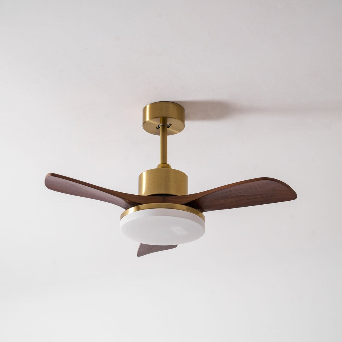 Aurevo Ceiling Fan Light 1001 Ceiling fan light