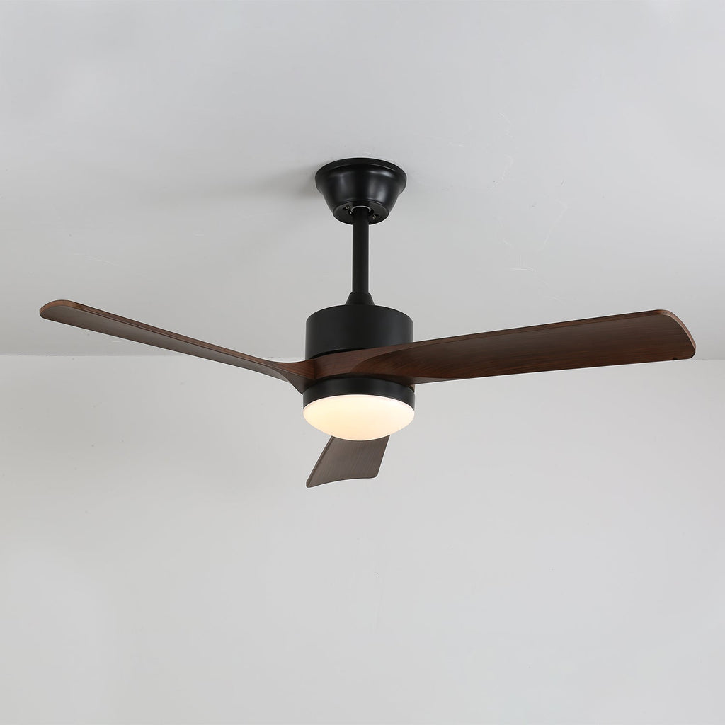 Averso Ceiling Fan Light