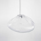 Blown Glass Mesh Pendant Light 1001 Pendant light