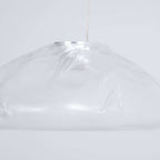 Blown Glass Mesh Pendant Light 1001 Pendant light