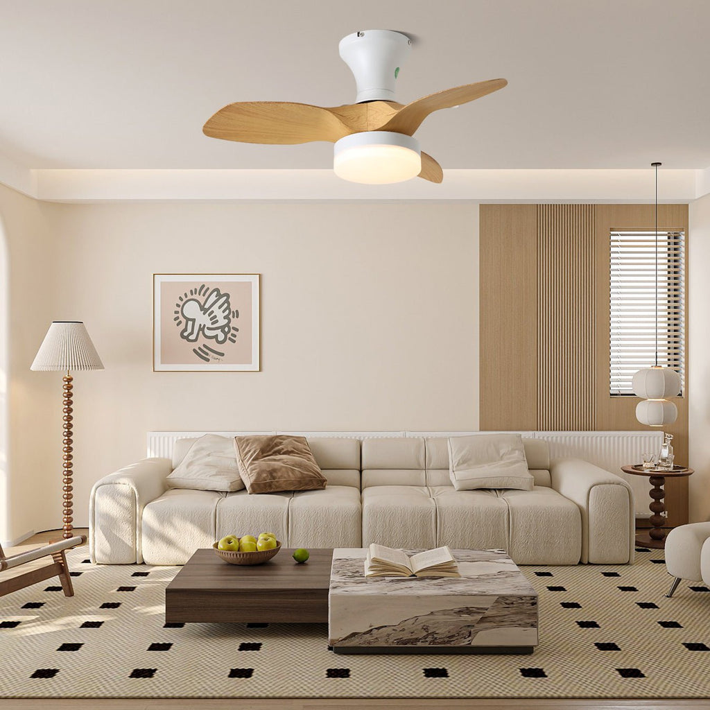 Brisa Ceiling Fan Light 1001 Ceiling fan light