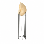 Conch Bloom Lamp